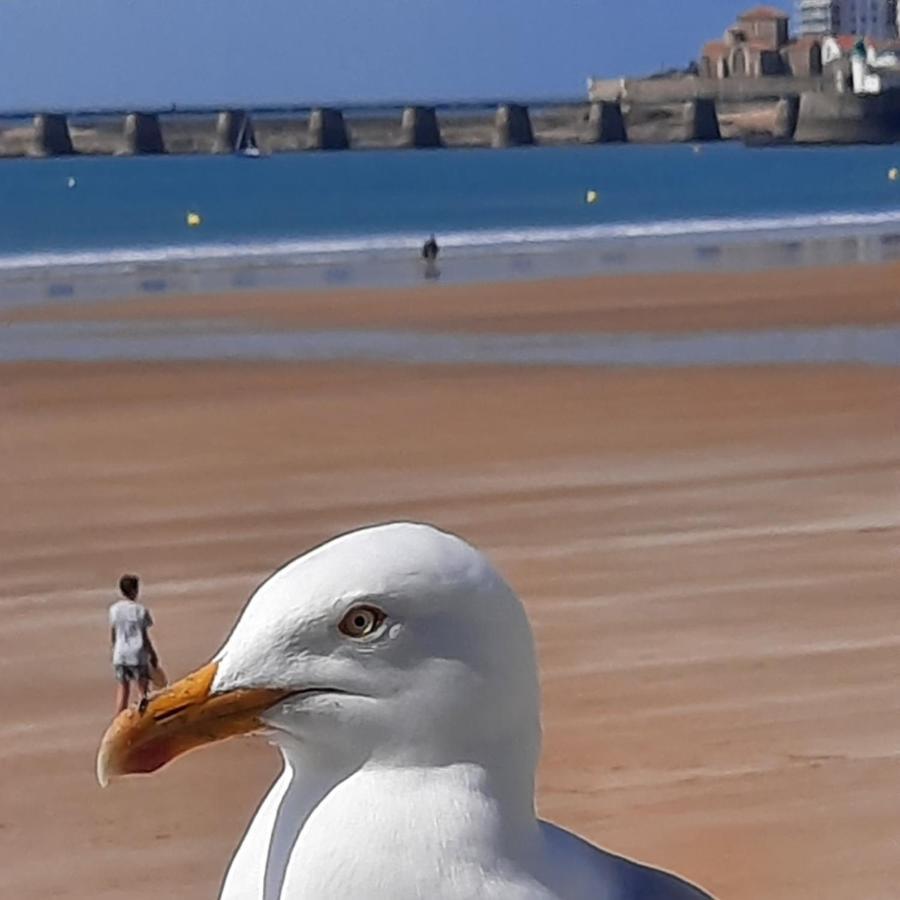 Appartement Vue Sur Mer Les Sables-dʼOlonne Extérieur photo